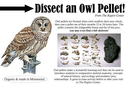 Owl+Pellets+Order+Form+2013.jpg